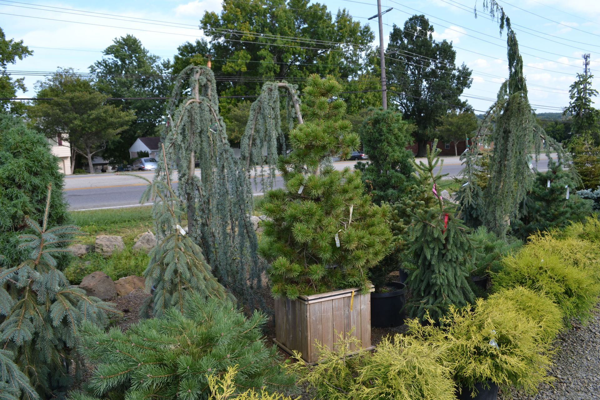 Picture Of Potted Plants In The Backyard – Fairfield, OH – Lakeview Garden Center & Landscaping