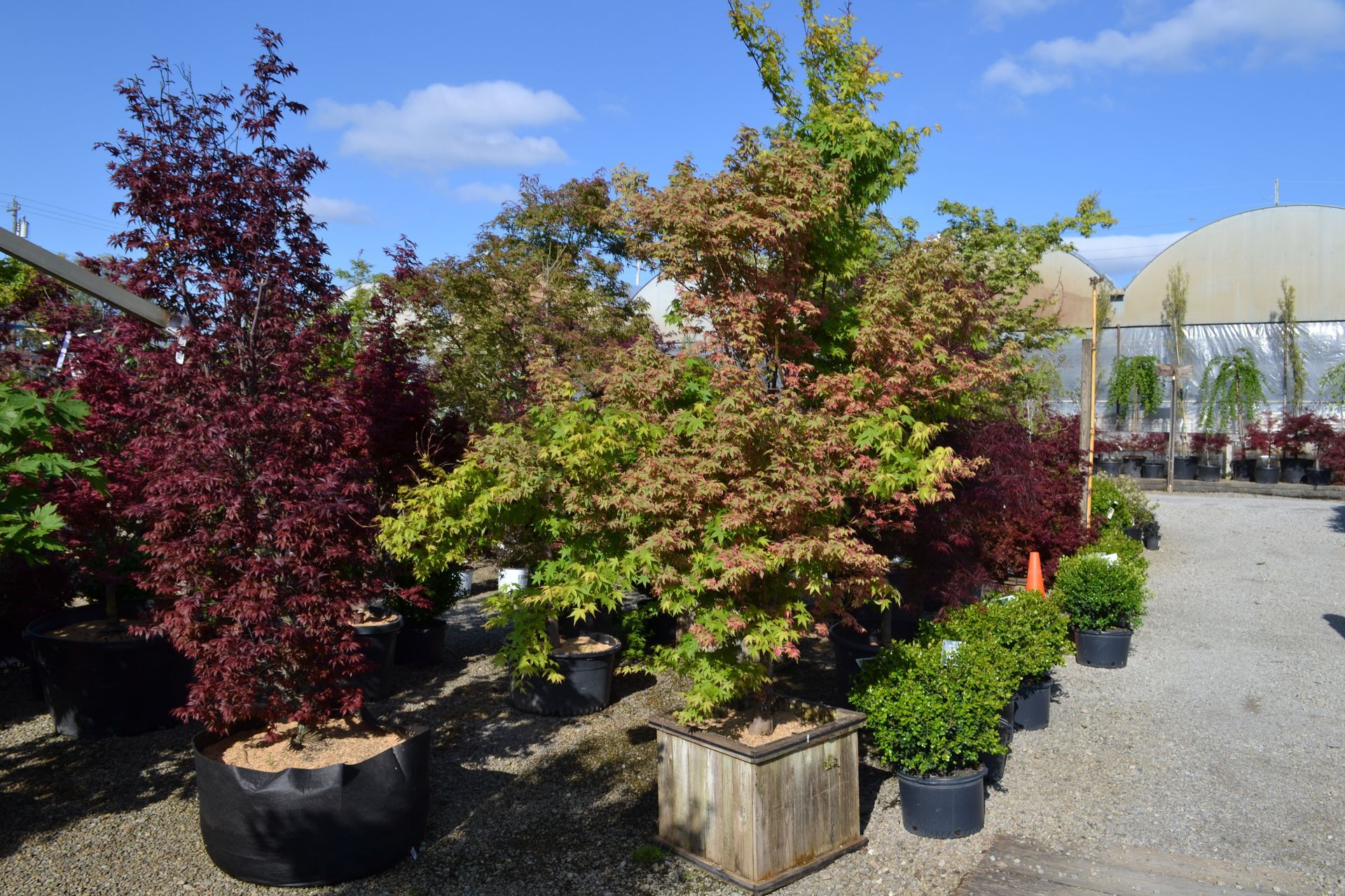 Sideview Of Potted Plants – Fairfield, OH – Lakeview Garden Center & Landscaping