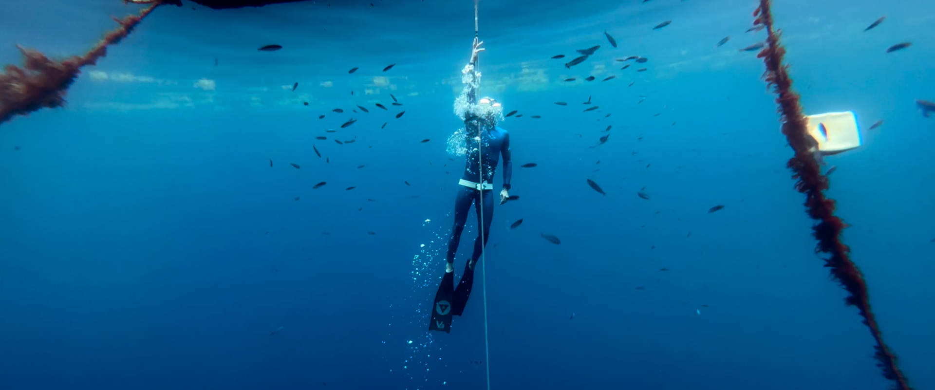 A person is swimming in the ocean with a rope.