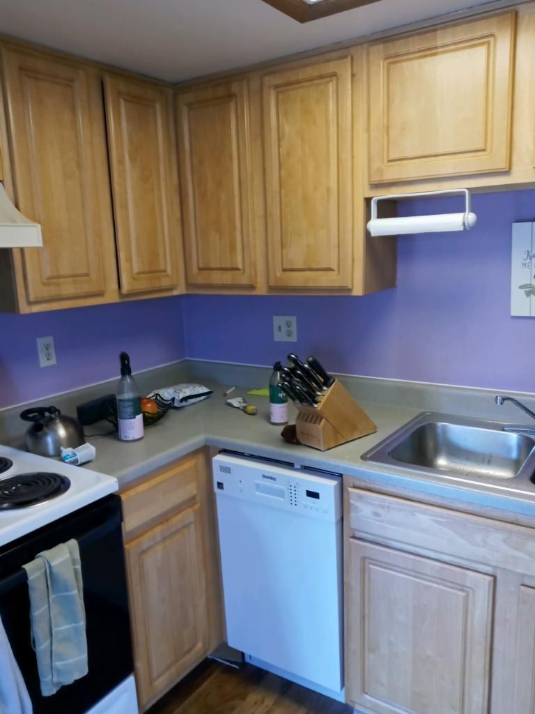 Kitchen with light wood cabinets, purple walls, sink, dishwasher, and countertop items