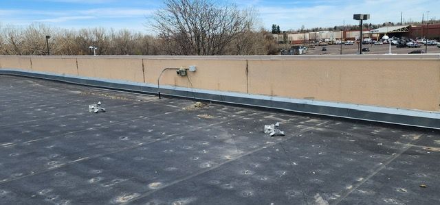 Flat rooftop with dark membrane, beige parapet wall, and bare trees in the distance.
