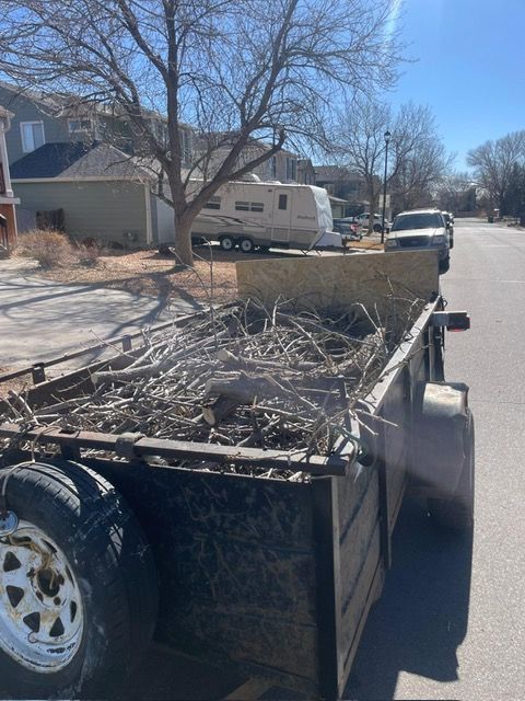 Trailer loaded with branches parked on a suburban street