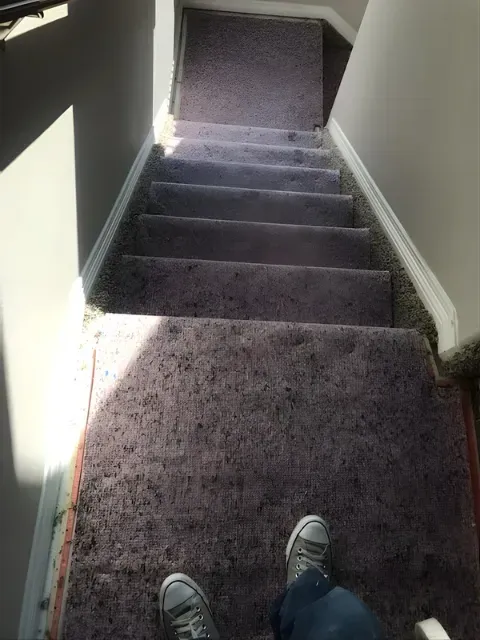 Looking down a carpeted staircase from the top, with shoes visible at the bottom edge.