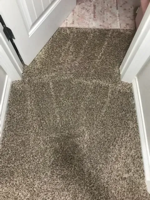 Carpeted hallway step with white trim and a pink patterned floor at the top.