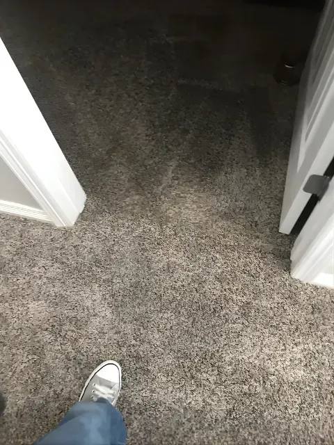 Carpeted hallway between white door frames, with a sneaker visible at the bottom left.