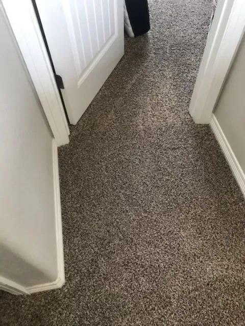 Carpeted hallway with white doors on both sides