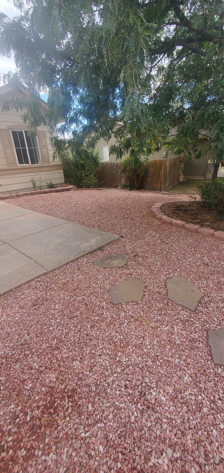 Residential courtyard with large tree, red gravel ground cover, stone pavers, and a building wall at left