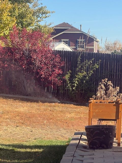 Backyard with a wooden deck, black planter, autumn grass, and a fence with red and green shrubs