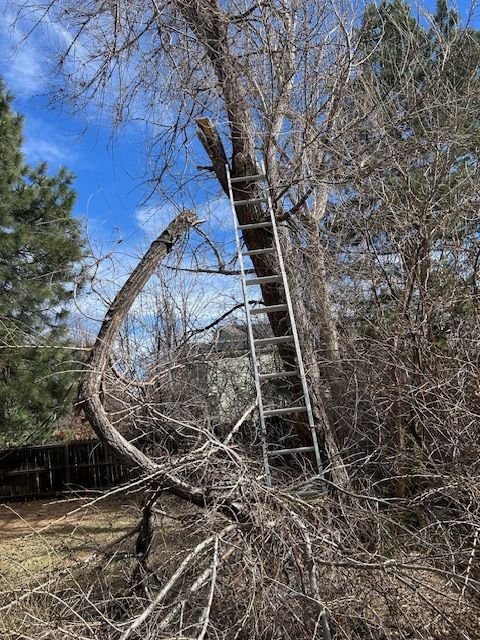 Damaged ladder leaning on a broken tree in a wooded yard under a blue sky