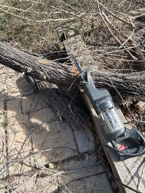 Chainsaw wedged against a fallen tree branch on dry, tangled ground outdoors.