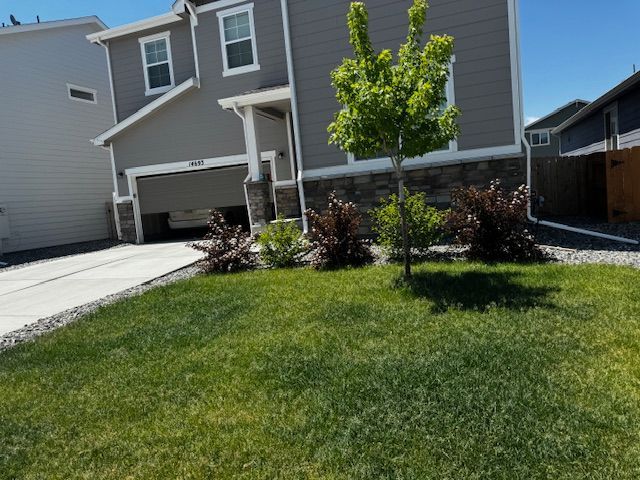 Suburban house with gray siding, front lawn, driveway, and a young tree in the yard