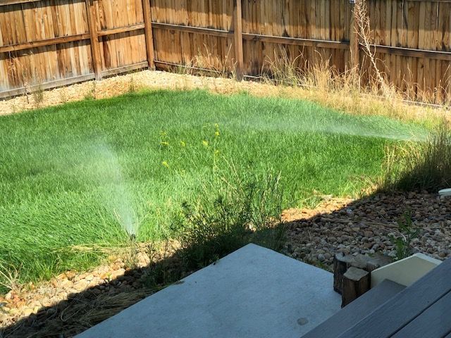 Backyard lawn with a sprinkler spraying water near a wooden fence and patio edge