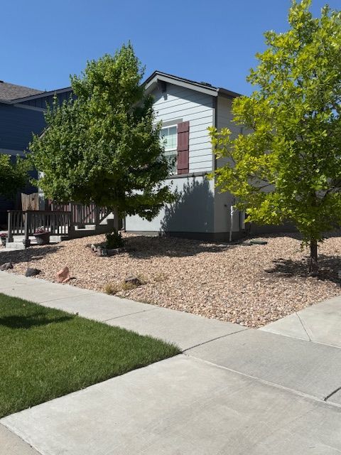 Single-story house with white siding, front tree, gravel yard, and concrete sidewalk under a clear blue sky