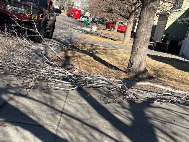 Fallen tree branches blocking a sidewalk beside a red truck in a suburban yard