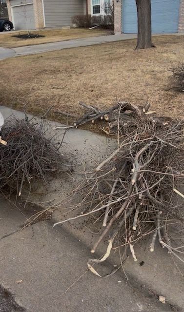 Two piles of trimmed tree branches on a sidewalk beside a residential street and blue garage doors