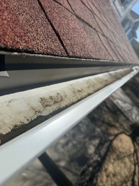 Close-up of a dirty white gutter under a brown shingled roof with leaf debris and tree shadows.