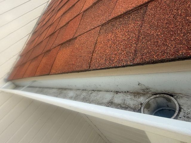 Close-up of a rooftop gutter with debris and dark mold beneath reddish-brown shingles