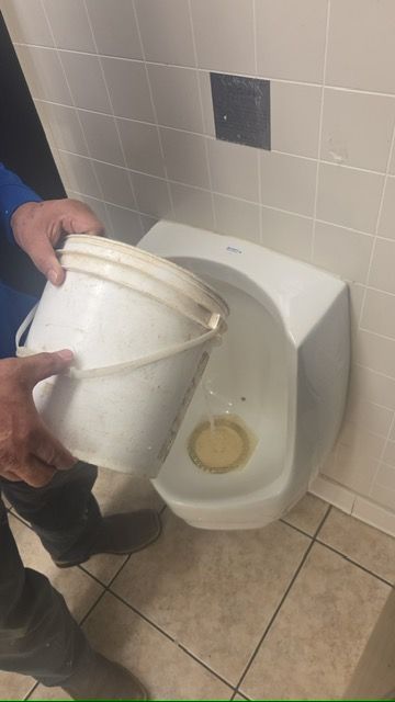 Person pouring a white bucket into a urinal in a tiled restroom