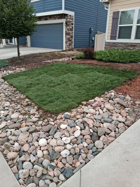 Freshly laid square sod bordered by river rocks beside a blue house and driveway
