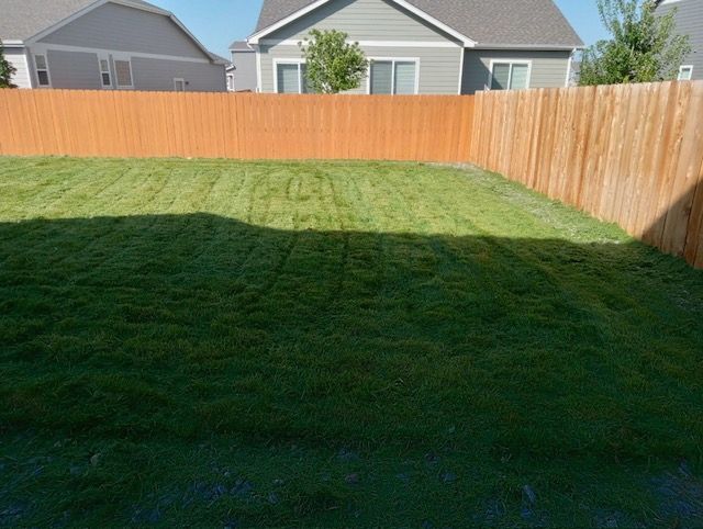 Backyard lawn with tall wooden fence and neighboring houses in the background, partly shaded by the house