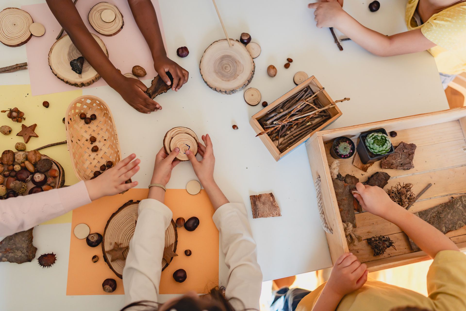 Hands arranging sticks and leaves during a nature-based activity.