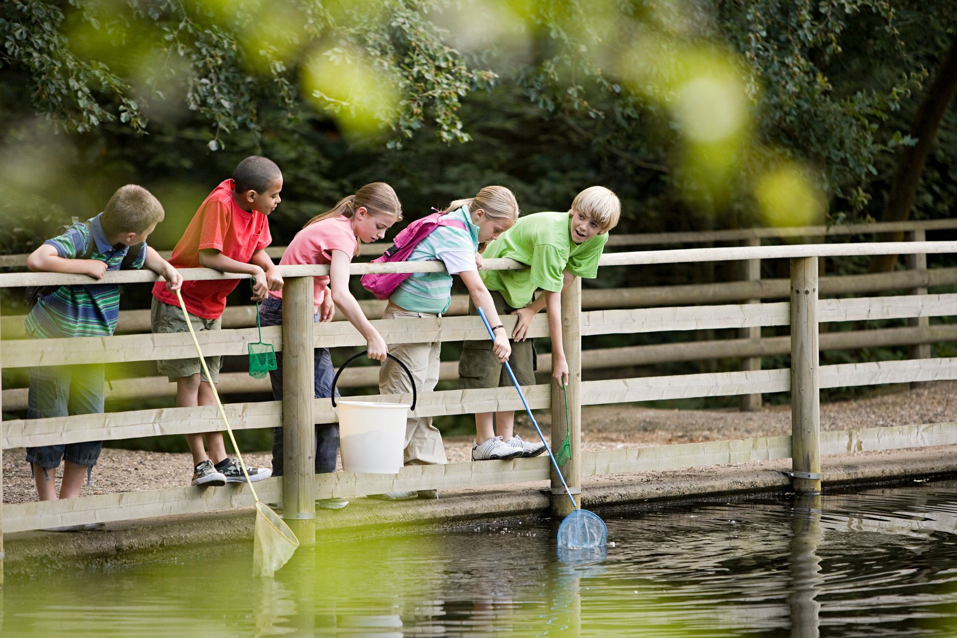 Group of children on a bridge trying to catch fish with nets and buckets