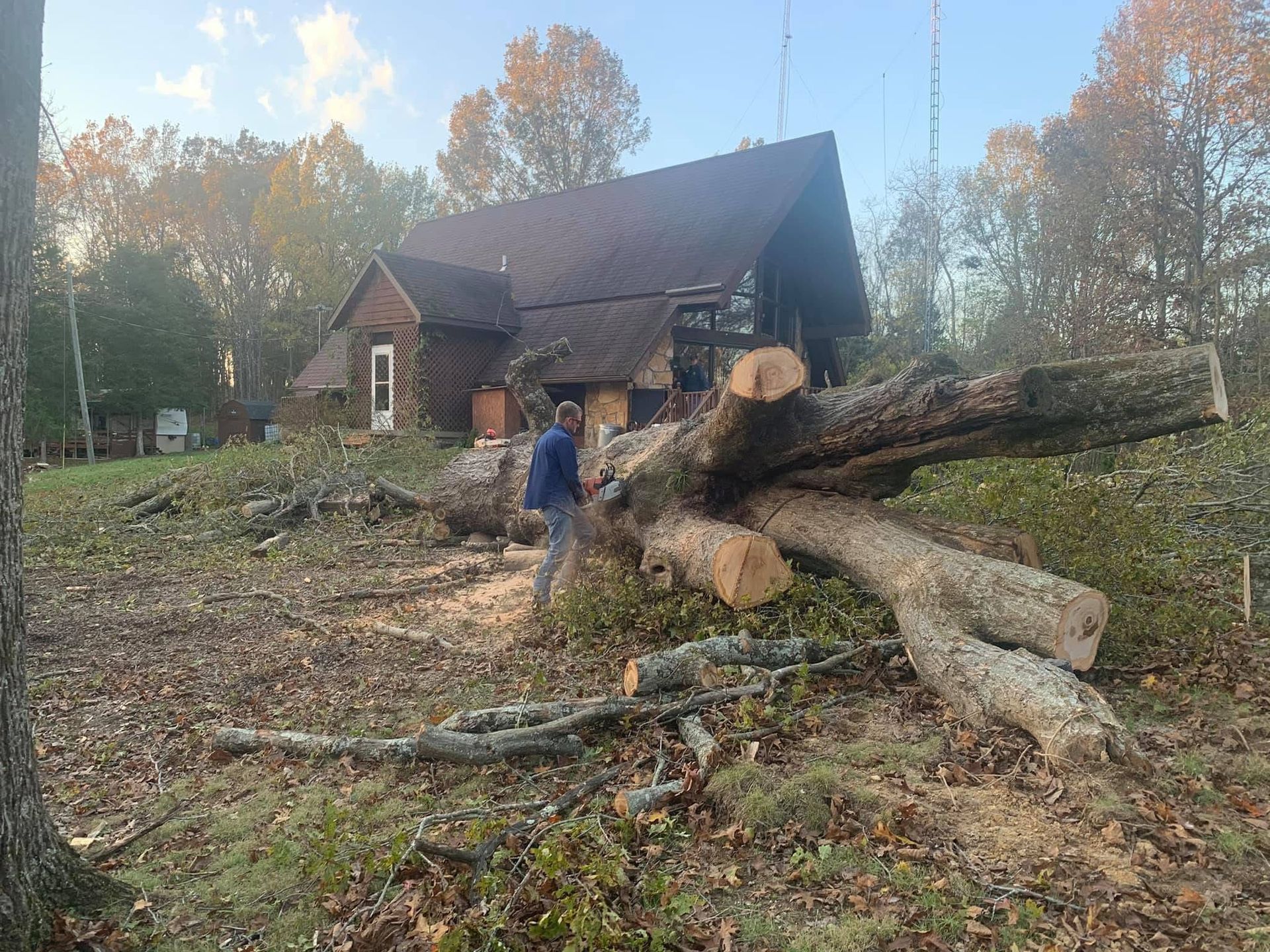 Person standing by a large fallen tree in a yard beside a rustic cabin, with logs and autumn trees nearby.