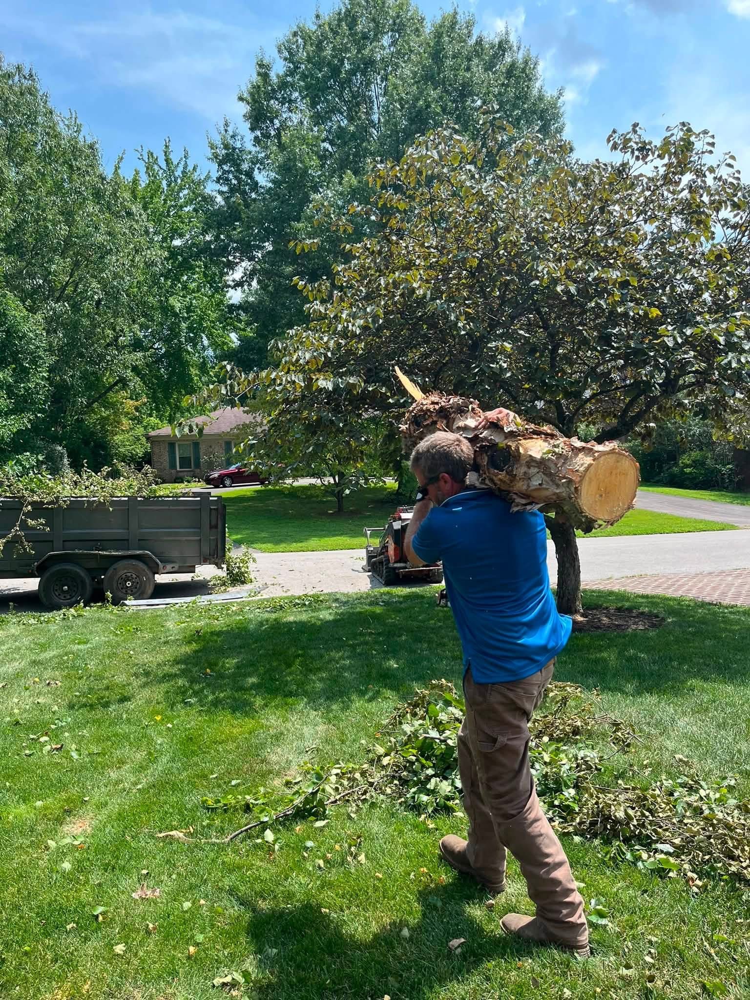 Person carrying a large log across a sunny grassy yard with a trailer and trees in the background