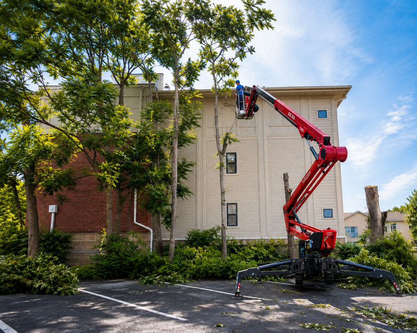Worker in a red cherry picker trimming a tree beside a white building