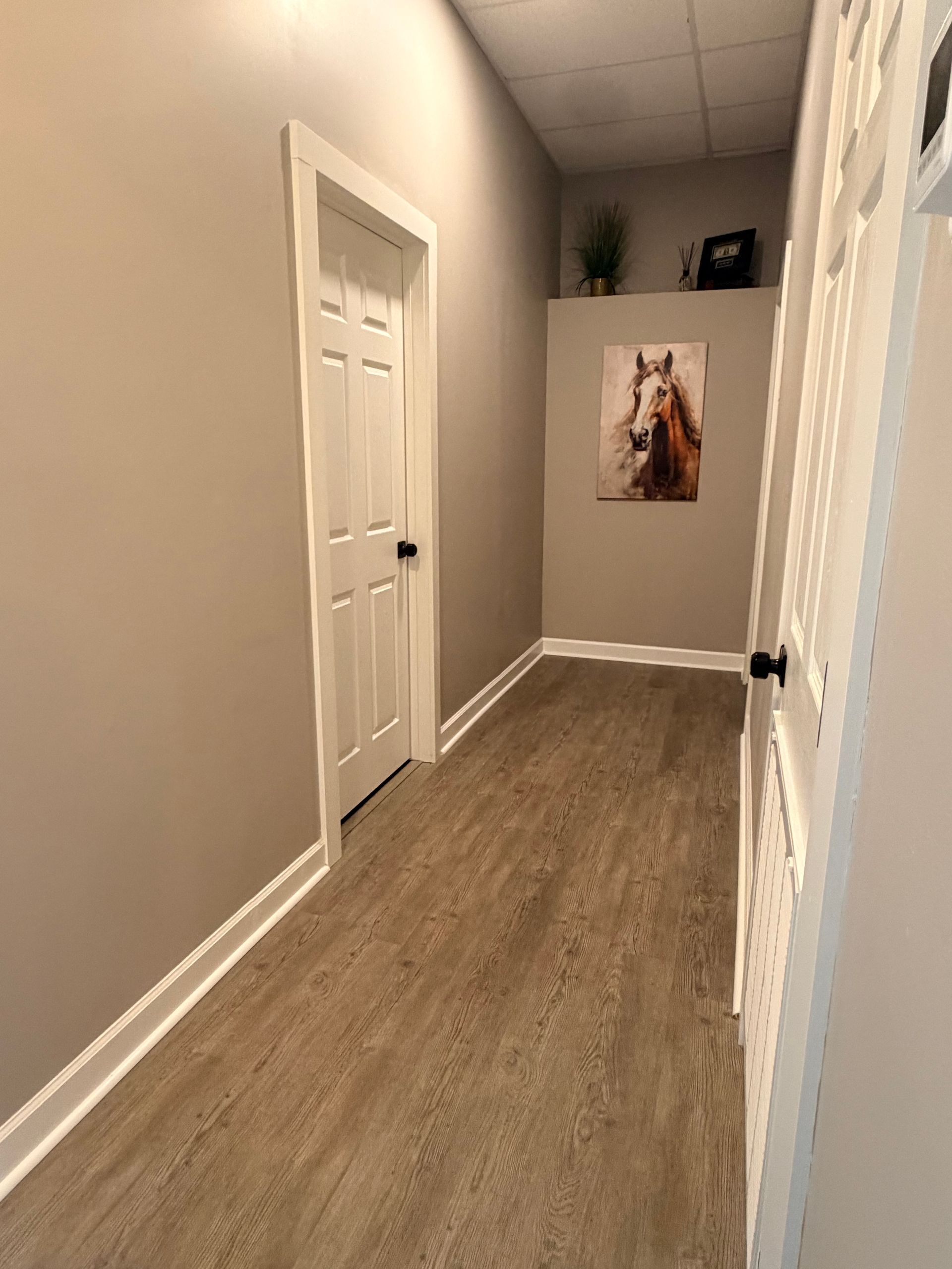 Narrow beige hallway with white doors, wood floor, and a framed dog portrait at the far end.