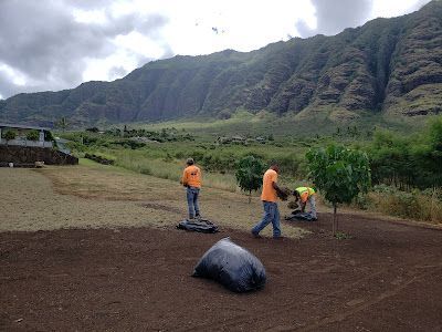 A group of men are working in a field with mountains in the background.