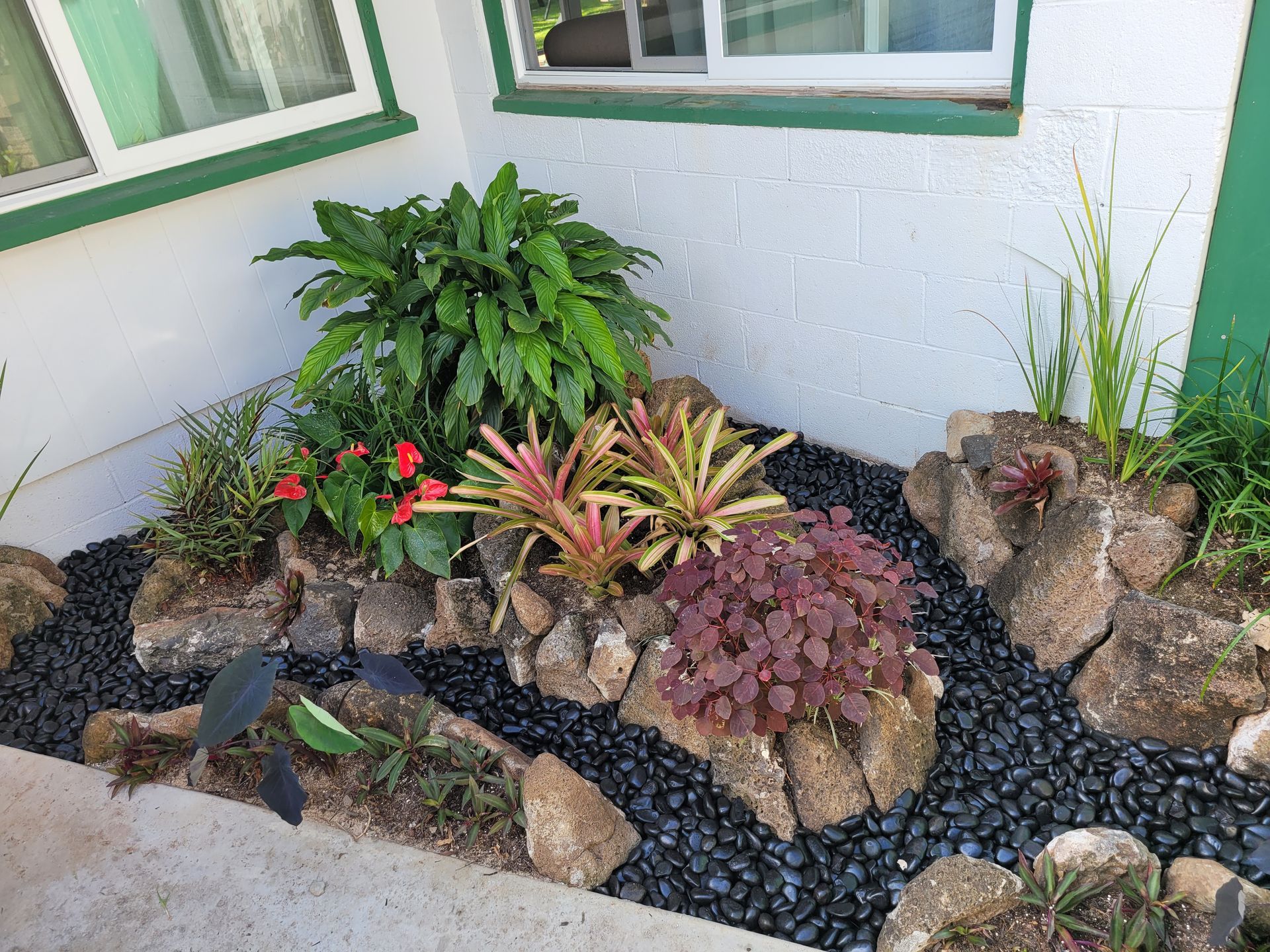 small decorative plants installed by front door