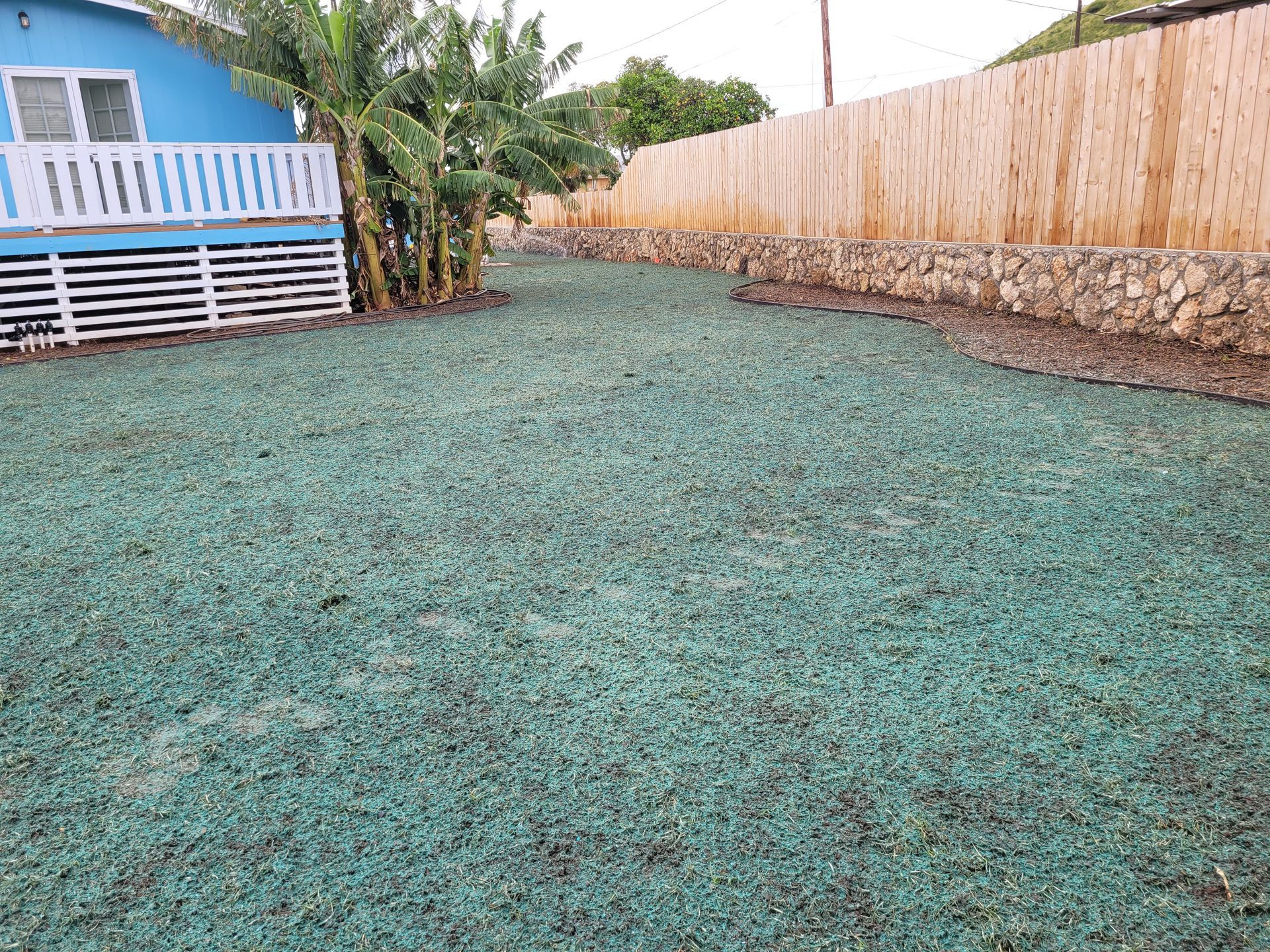 hydroseeding new lawn