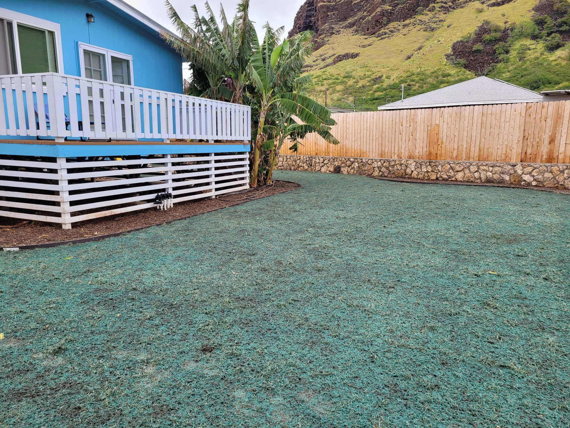fresh hydroseeding on lawn