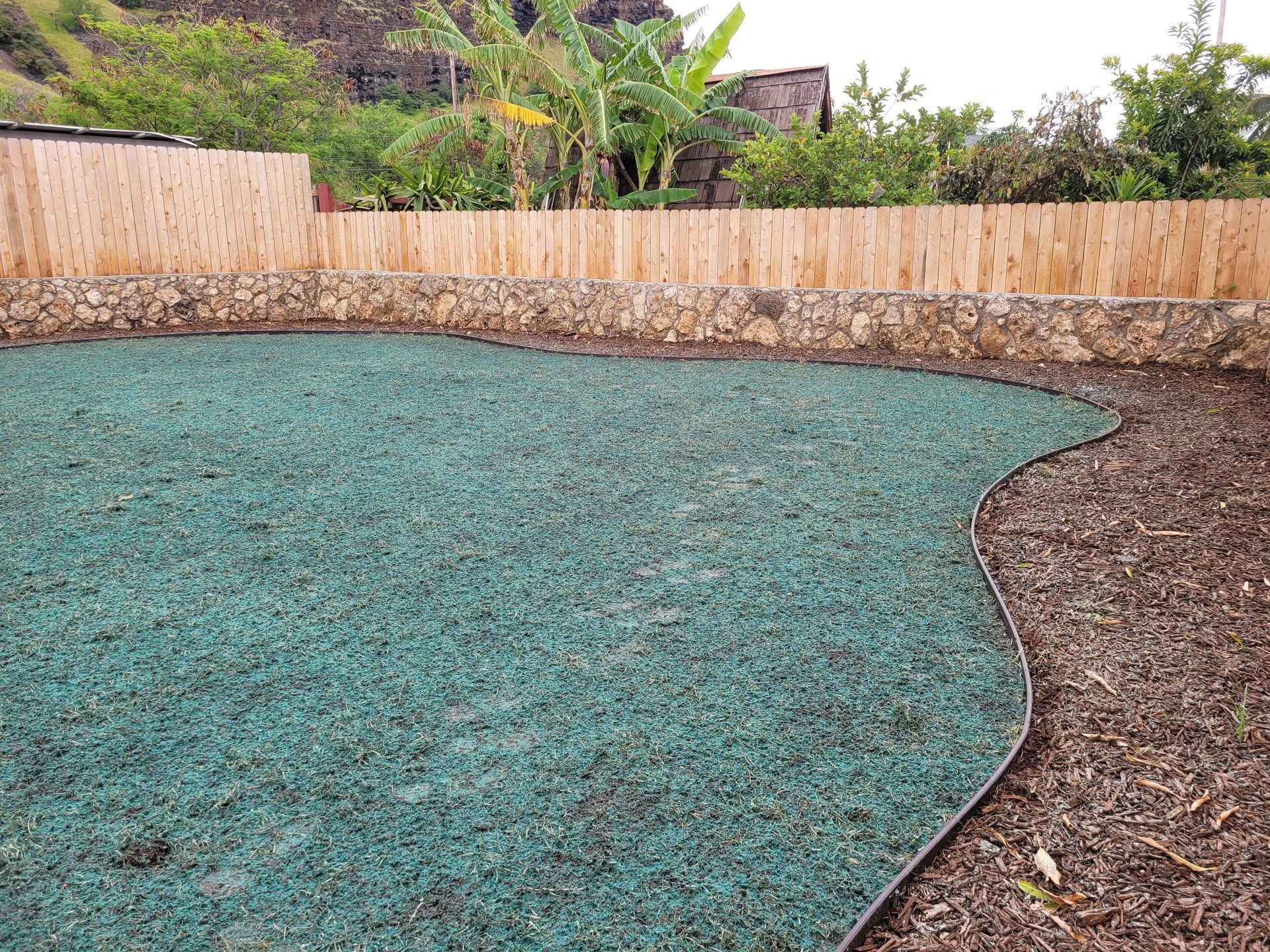 lawn with hydroseeding