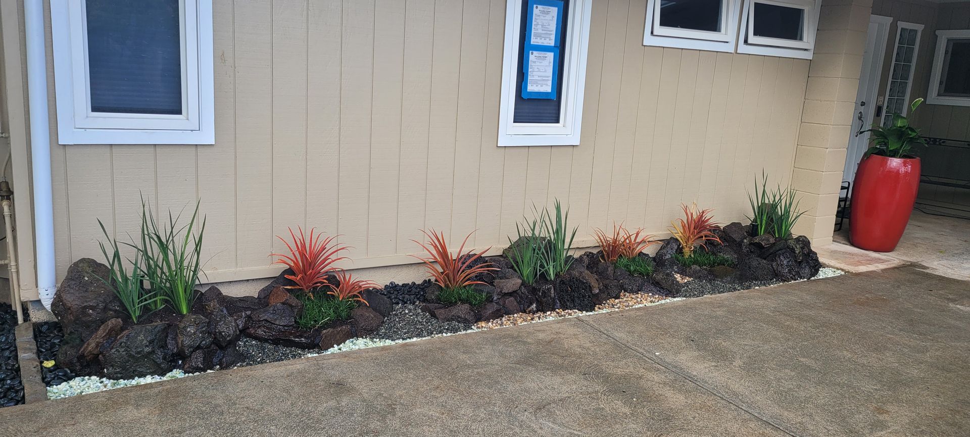 small colorful plants along the wall