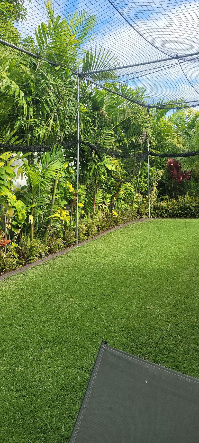 lawn with palm tree installation
