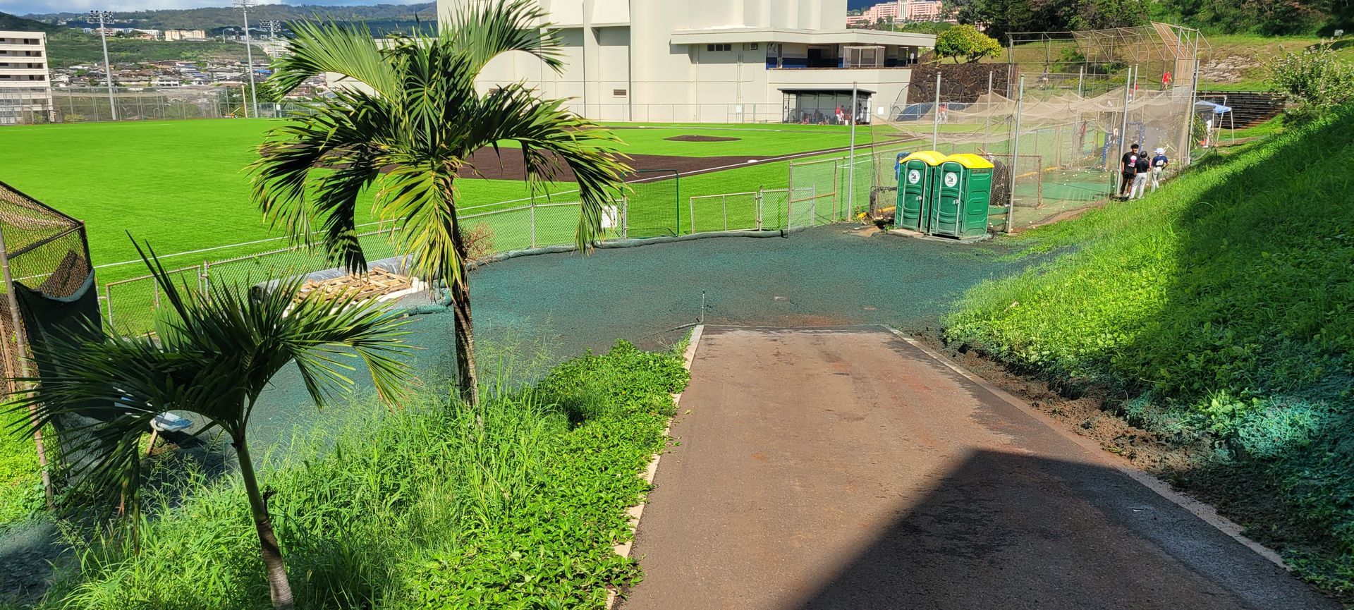 hydroseeded lawns