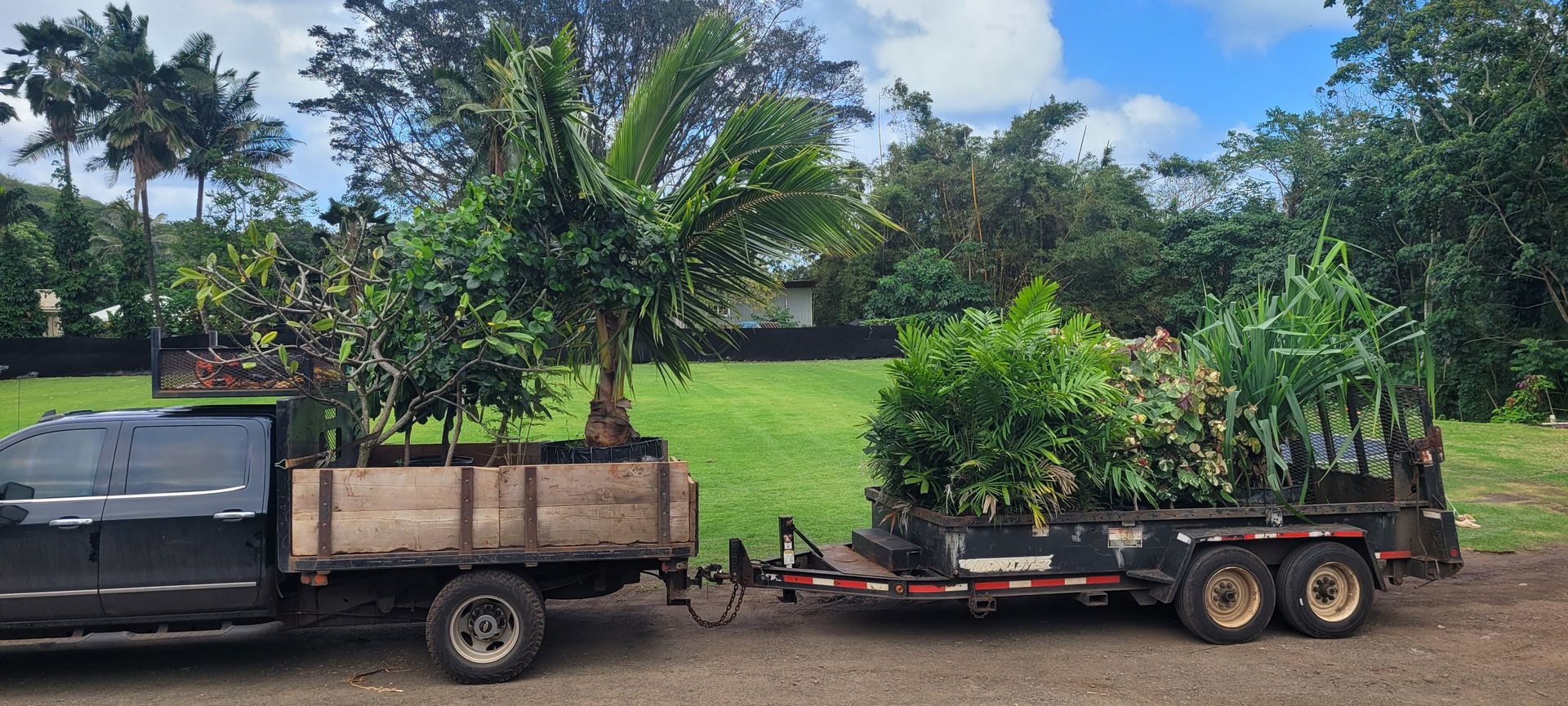 trees packed onto lawn maintenance truck