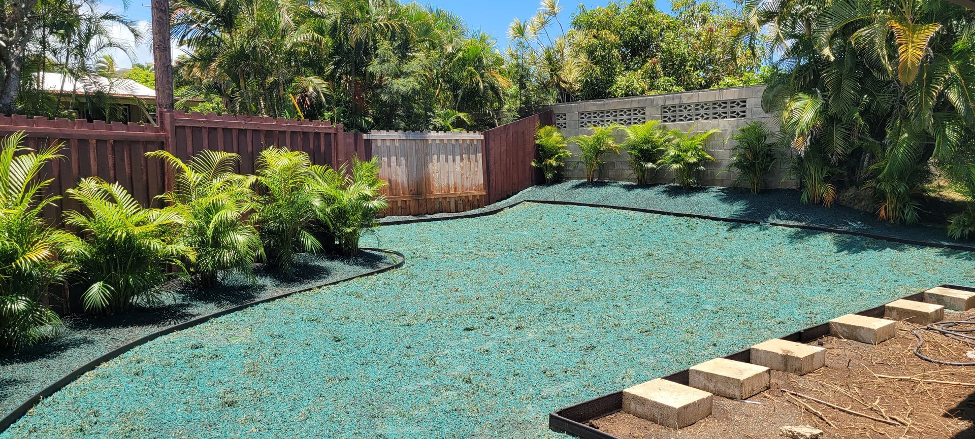 freshly applied hydroseeding on the lawn
