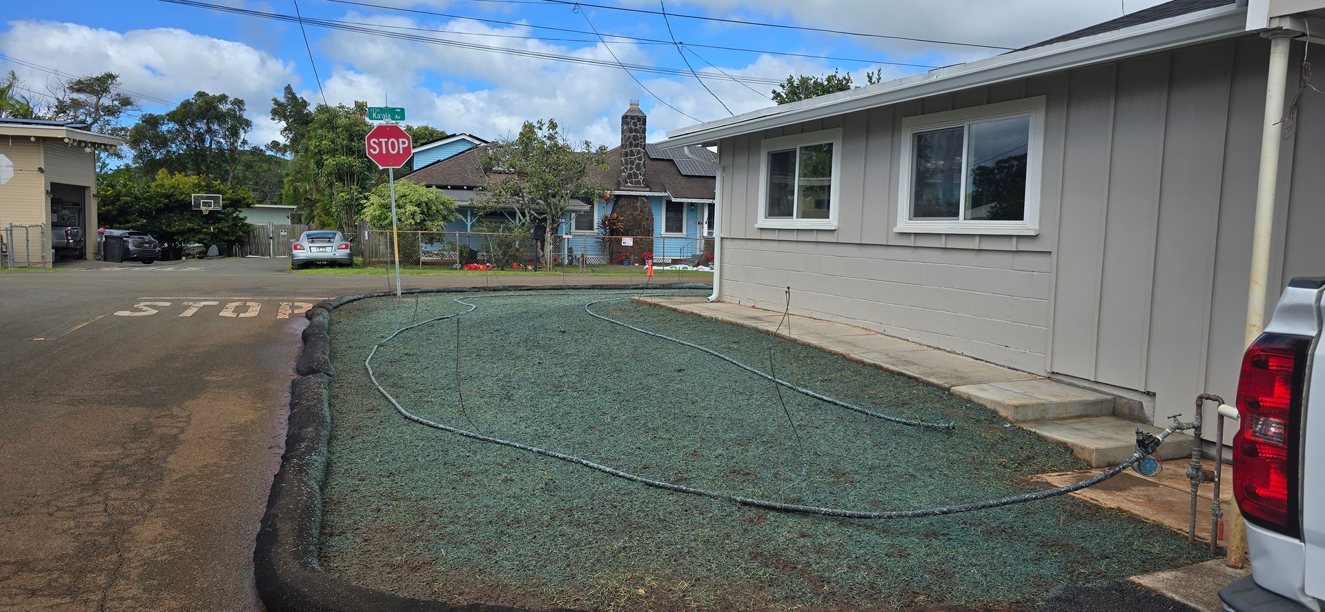 hydroseed on lawn