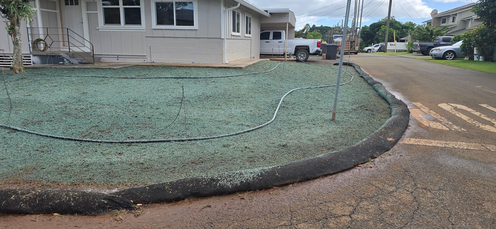 fresh hydroseeded lawn