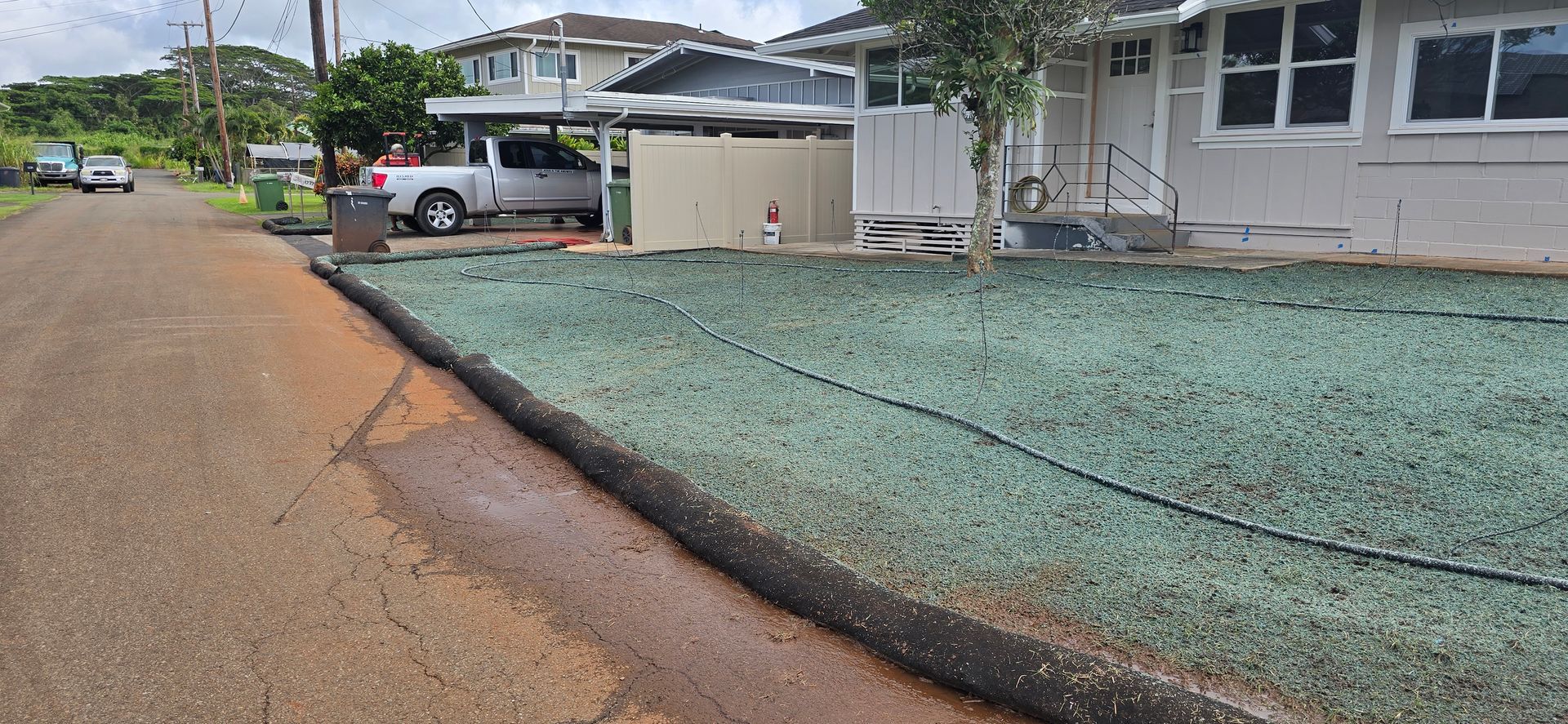 lawn sprayed with hydroseed