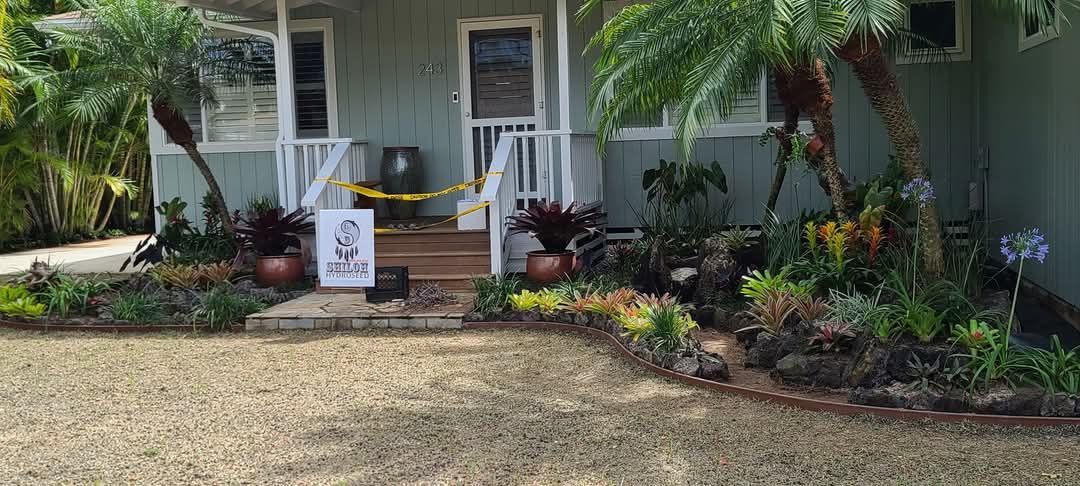 landscaper do not cross line for lawn installation