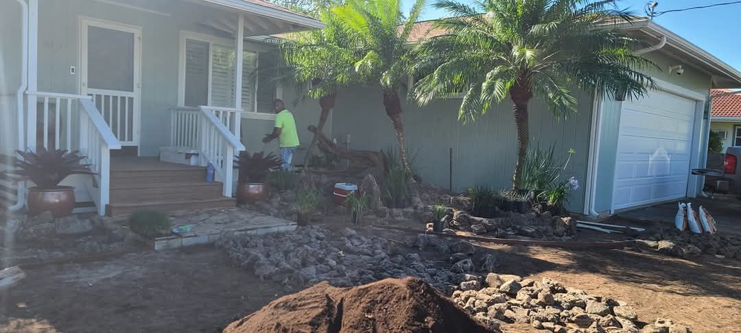 landscaper installing fully grown palm trees