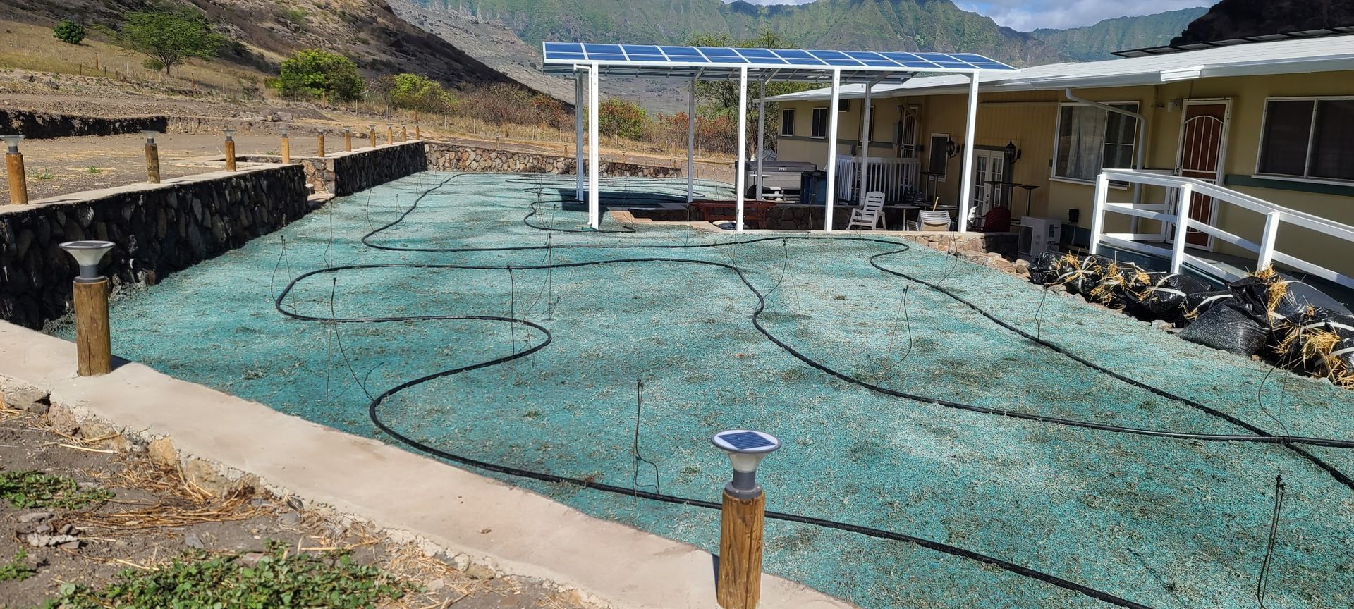 home with patio and backyard covered in fresh hydroseed