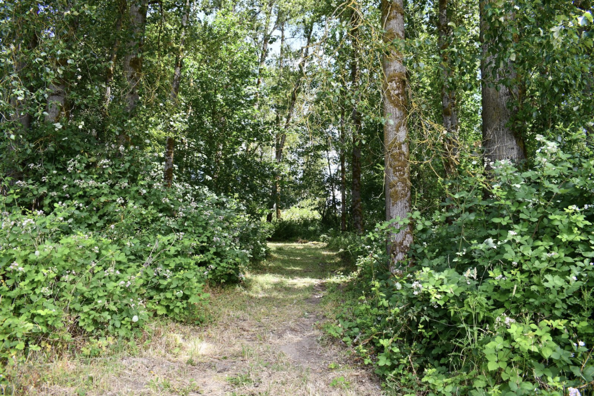 Outdoor camping