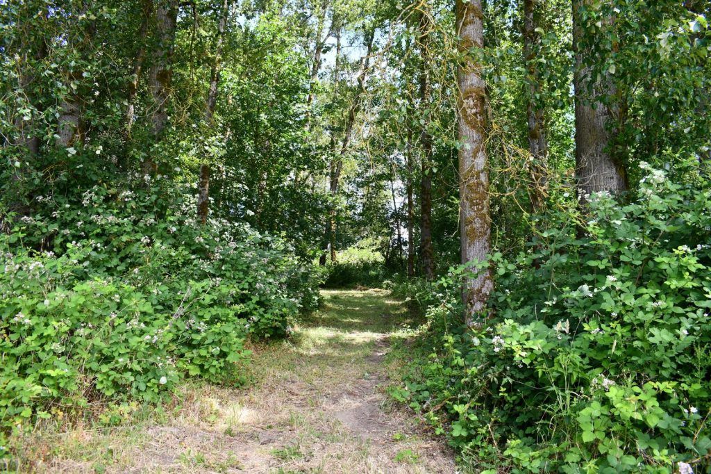 campground