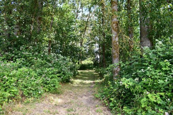 campground
