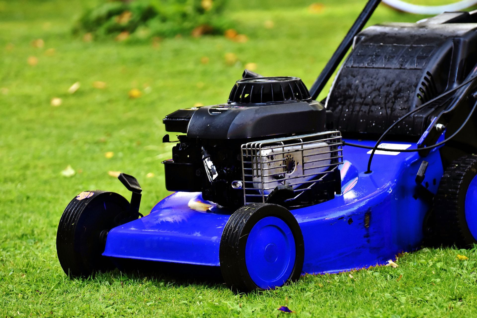 Blue lawn mower mowing grass